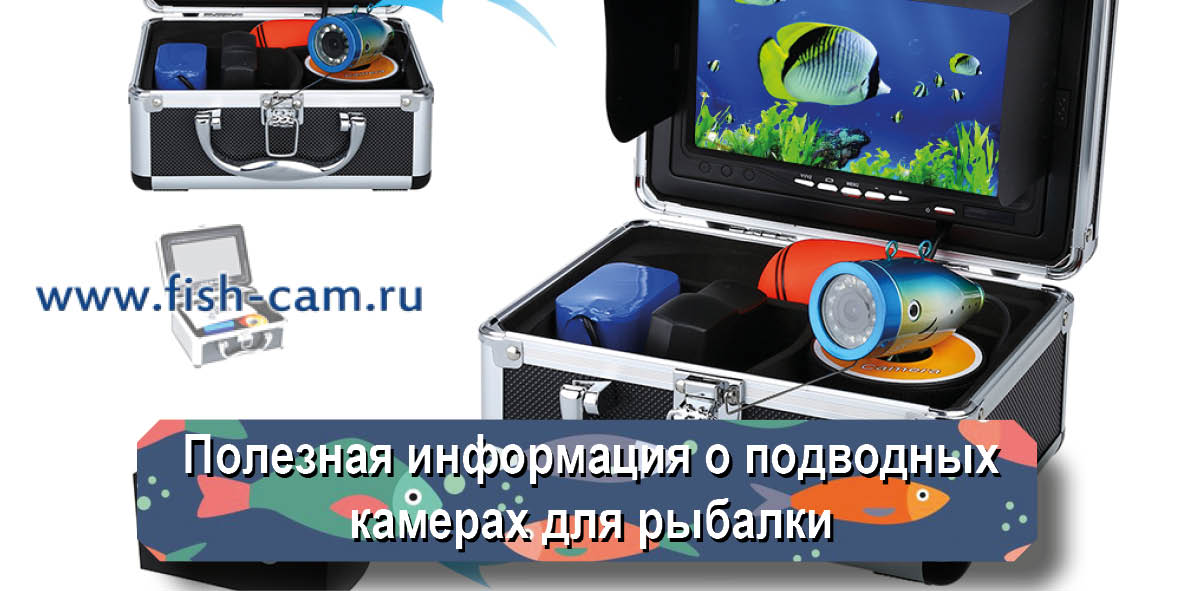 Полезная информация о подводных камерах для рыбалки
